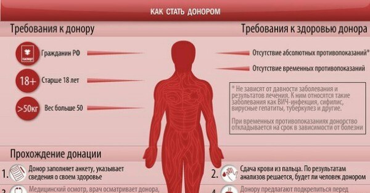 Что не нужно есть перед сдачей крови беременной 32