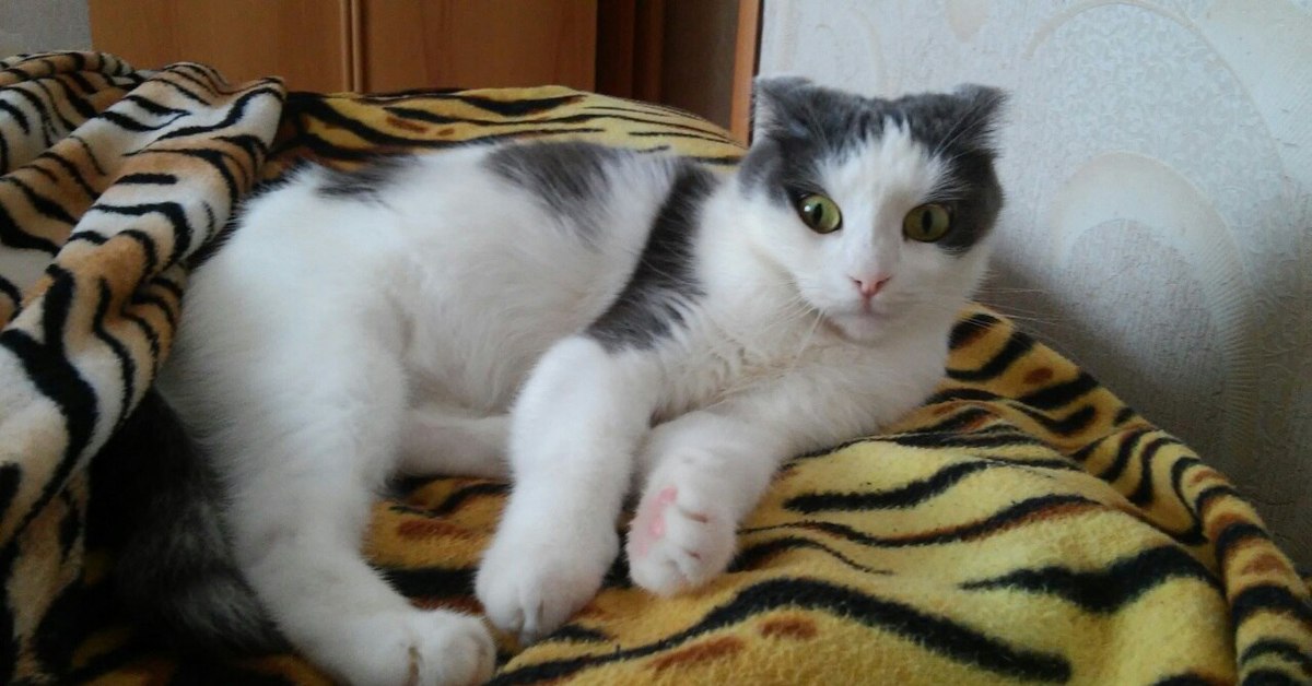 Советские таблетки для потенции photo 3