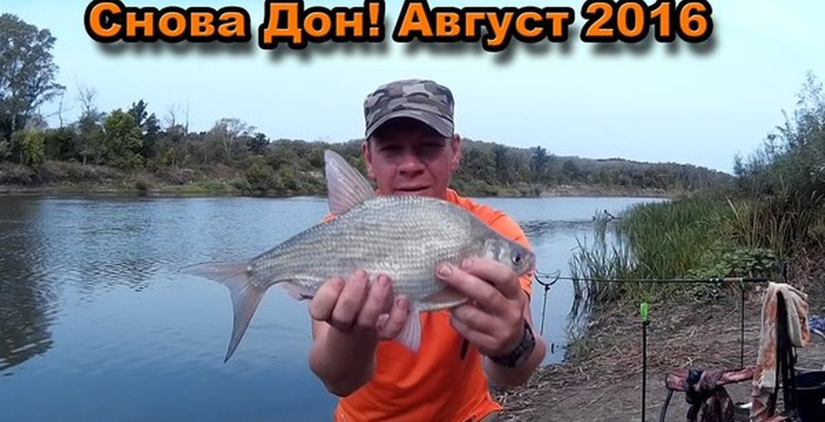 рыбалка в воронежской области ютуб рыбалка в воронежской области ютуб