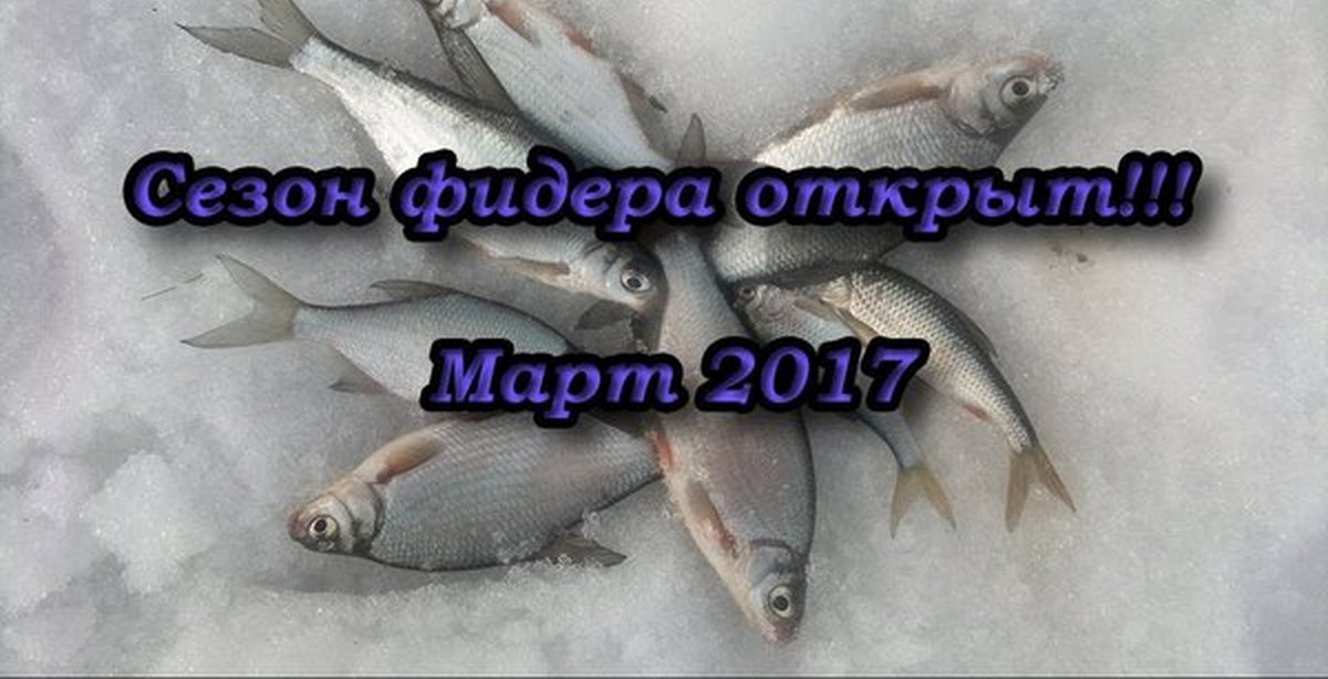 ловля леща в марте апреле на фидер ловля леща в марте апреле на фидер